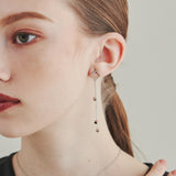 ciite' シーテ ピアス(両耳用) 【 金属アレルギー対応 】 モチーフロングピアス サージカルステンレス (両耳用) シルバー FREE