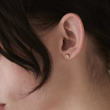 ciite' シーテ ピアス(両耳用) 【 金属アレルギー対応 】 シンプルカラービジュー ピアス サージカルステンレス (両耳用) ホワイト FREE