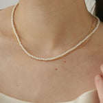 ciite' シーテ ネックレス 【 金属アレルギー対応 】 パール & シンプルチェーンネックレス 2セット サージカルステンレス