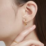ciite' シーテ ピアス（両耳用） 【 金属アレルギー対応 】 シンプルフープイヤリング 3ペアセット サージカルステンレス (両耳用)