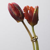 ciite' シーテ リング 【 金属アレルギー対応 】 クロスリング サージカルステンレス