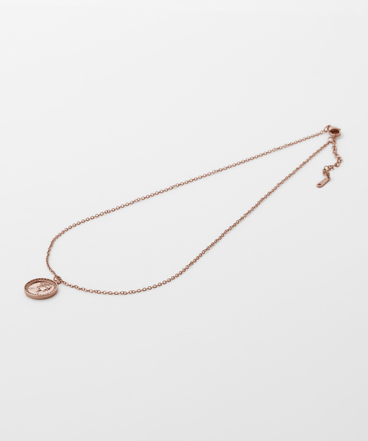 ciite' シーテ ネックレス 【 金属アレルギー対応 】 ビジューコインネックレス サージカルステンレス