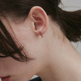 ciite' シーテ ピアス（両耳用） 【 金属アレルギー対応 】 ミニモチーフピアス サージカルステンレス (両耳用)