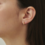 ciite' シーテ ピアス（両耳用） simple pierce / シンプルピアス (両耳用)
