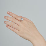 ciite' シーテ リング 【 金属アレルギー対応 】 エレファント モチーフリング サージカルステンレス