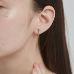 ciite' シーテ イヤリング 【 金属アレルギー対応 】 モチーフイヤリング サージカルステンレス (両耳用)