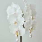 ciite' シーテ ピアス（両耳用） 【 金属アレルギー対応 】 ニュアンスパールピアス サージカルステンレス (両耳用)