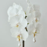 ciite' シーテ ピアス（両耳用） 【 金属アレルギー対応 】 ニュアンスパールピアス サージカルステンレス (両耳用)