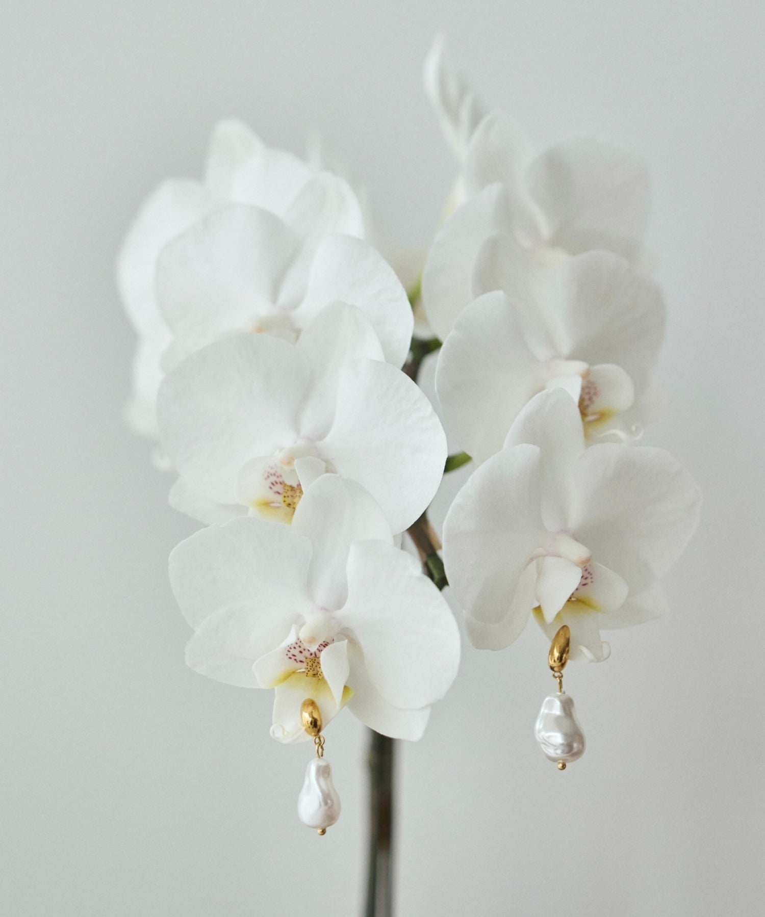 ciite' シーテ ピアス（両耳用） 【 金属アレルギー対応 】 ニュアンスパールピアス サージカルステンレス (両耳用)