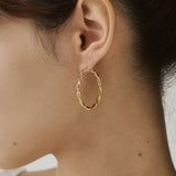 ciite' シーテ ピアス（両耳用） 【 金属アレルギー対応 】ツイストフープピアス サージカルステンレス（両耳用） ゴールド FREE